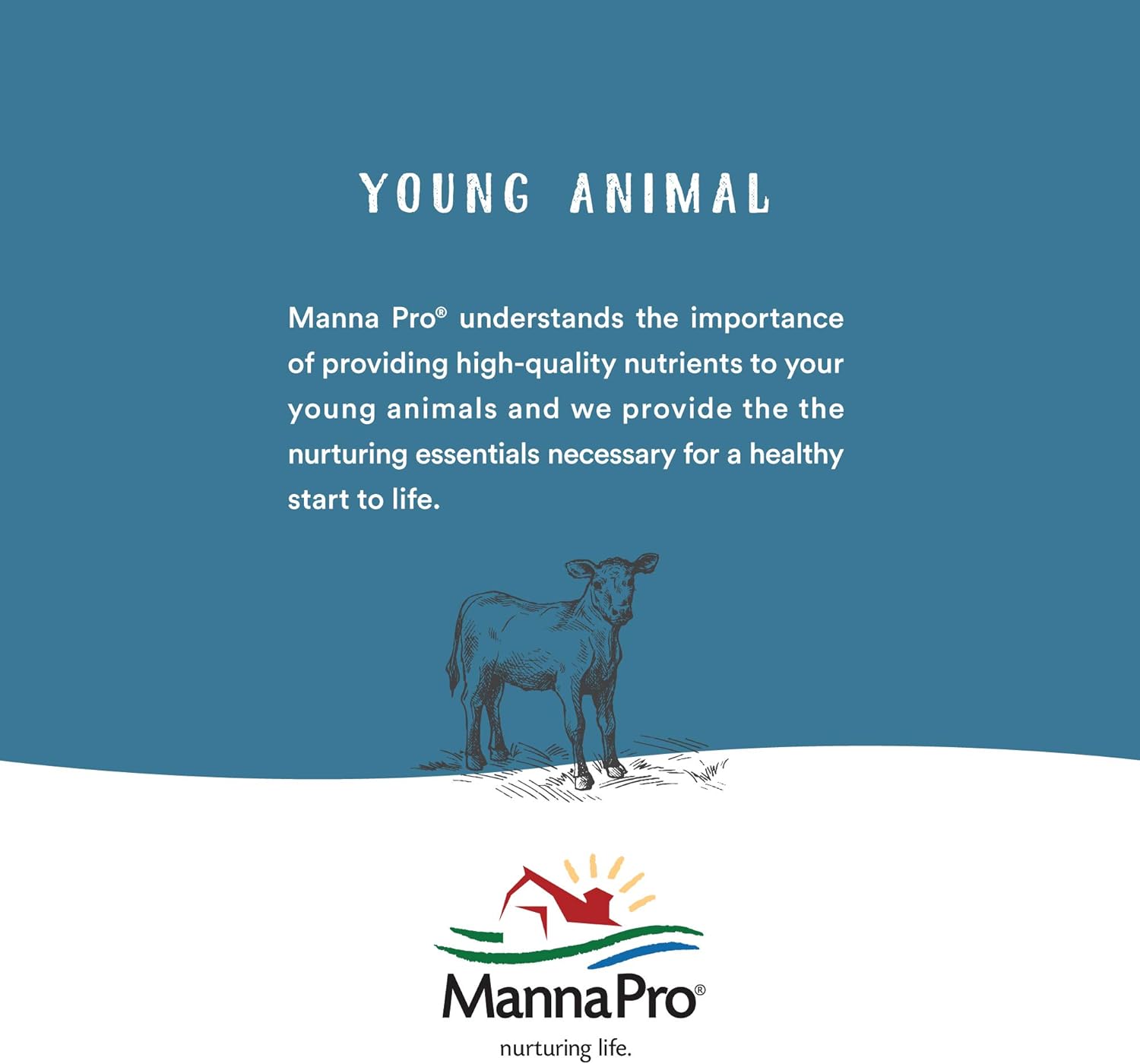 Manna Pro 5 lb Sho-Glo Supplement for Horse, Small : Horse Nutritional Supplements And Remedies : Pet Supplies