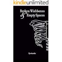 Broken Wishbones and Empty Spaces book cover