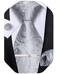 DiBanGu Silk Paisley Ties for Men Woven Necktie and