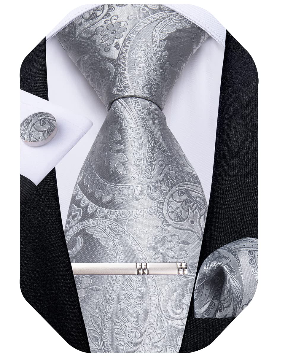 DiBanGu Silk Paisley Ties for Men Woven Necktie and