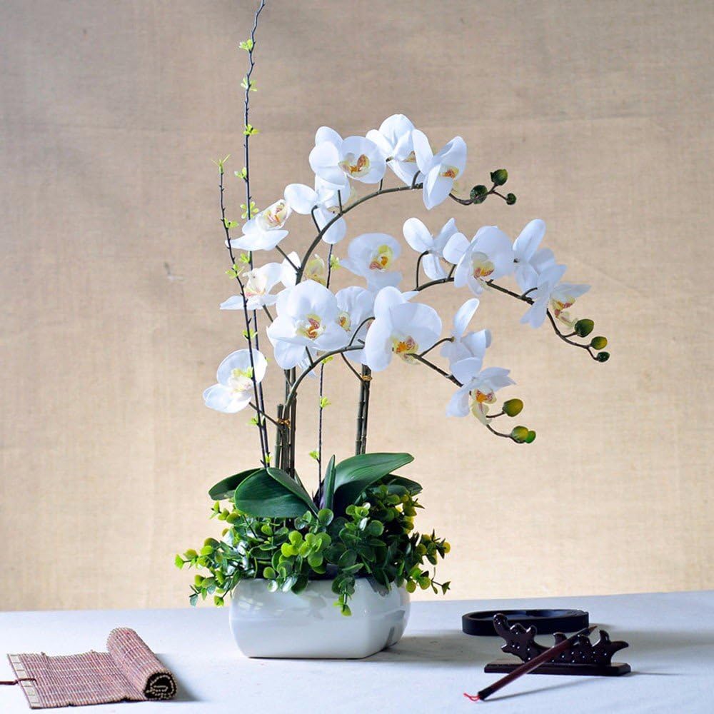 Hctina Artificial flower Orchid Plants Set Ceramic Pot White