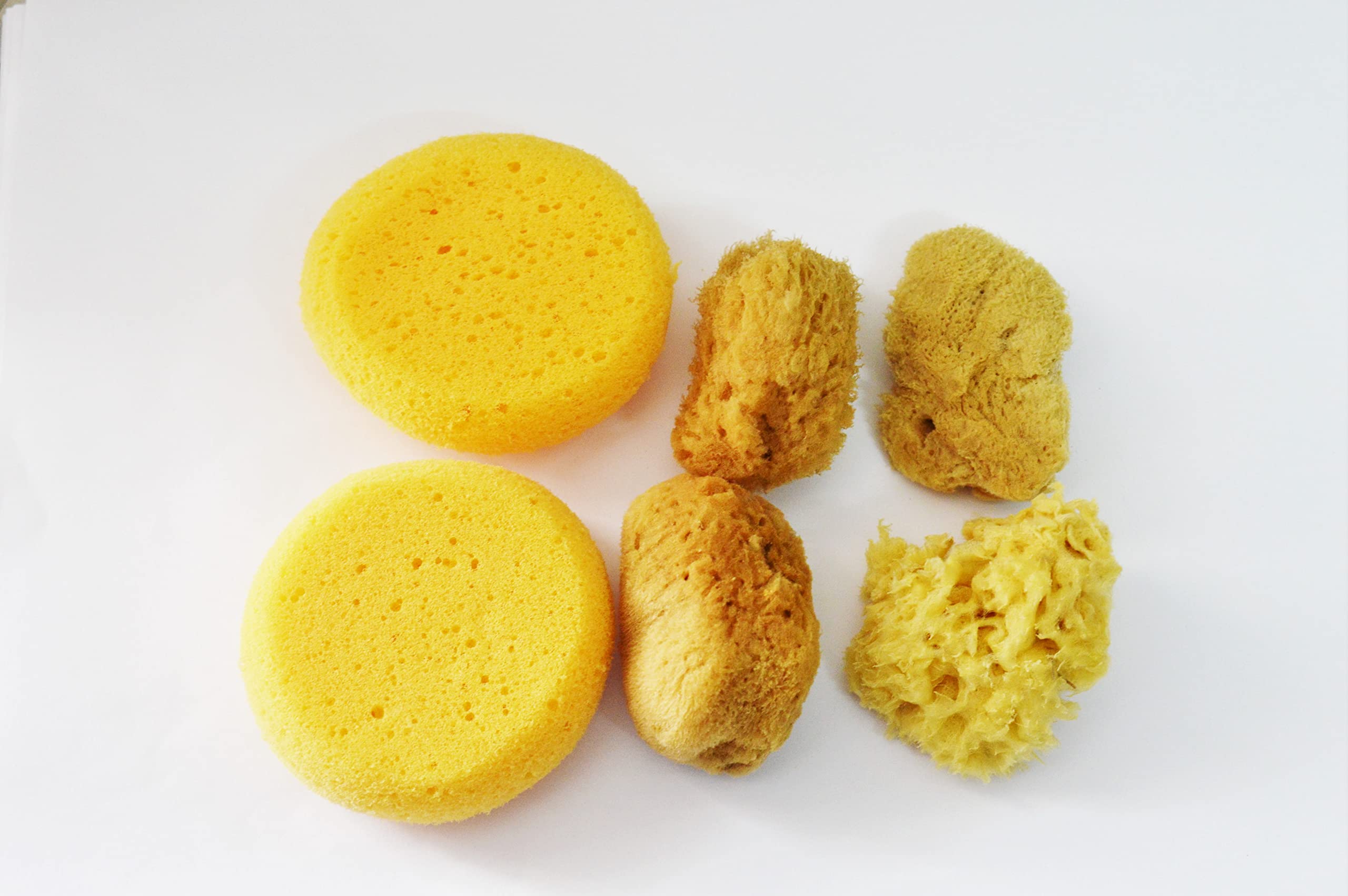 HONGBE Artist Natural Sea & Synthetic Art Sponge Set for Water Colour