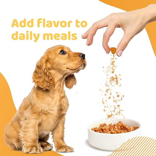 IPAW DOG TREATS FOR PUPPY TRAINING, ALL NATURAL HUMAN GRADE SOFT DOG TREAT WITH PROBIOTICS, HYPOALLERGENIC, EASY TO DIGEST (CHICKEN)