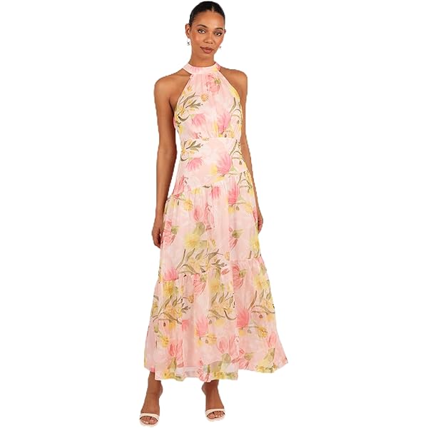 Amazon.com: Dress the Population Women's Melina Lace Maxi Dress, Summer Sky  Mult, Small : Clothing, Shoes & Jewelry