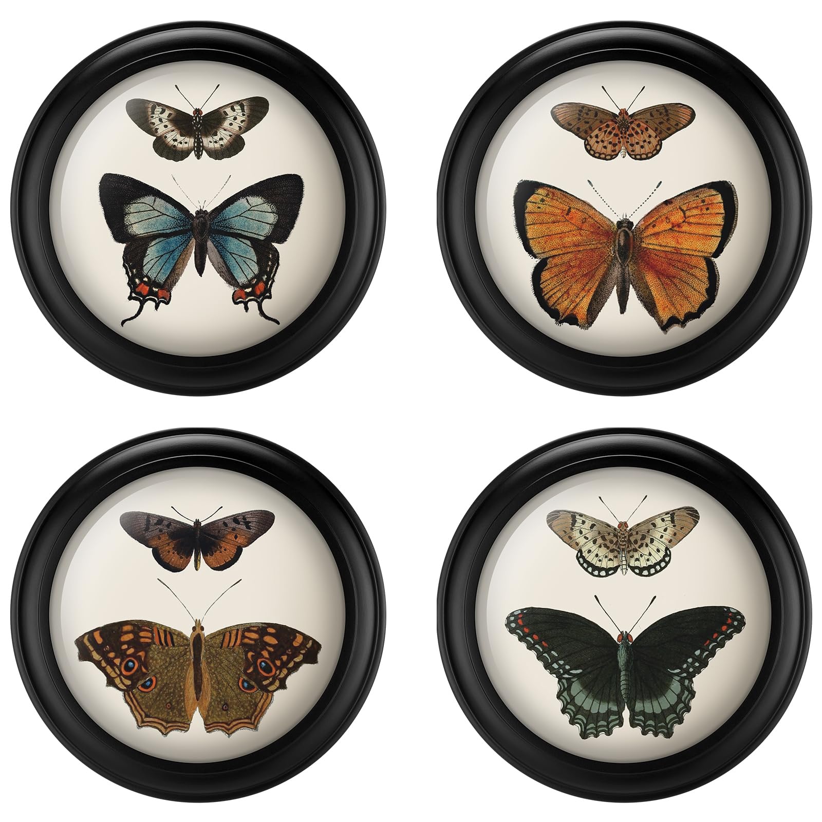 Photo 1 of Beeveer 4 Pcs 7 Inch Vintage Round Wood Framed Butterfly Wall Art Insect Illustration Prints Picture Butterfly Art Wooden Wall Hanging Picture Frames for Living Room Bedroom Home Decor