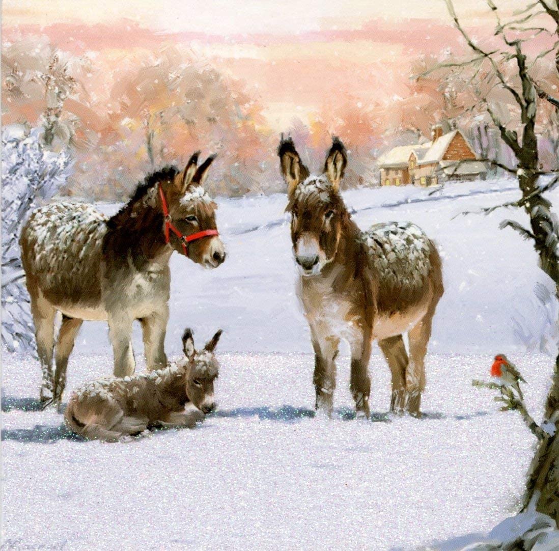 GBCC Charity Christmas Cards - Festive Donkey Family in the Snow - Flitter Finish - Eco-Friendly and Recyclable - Pack of 6 Cards - By Paper House - Supporting UK Charities