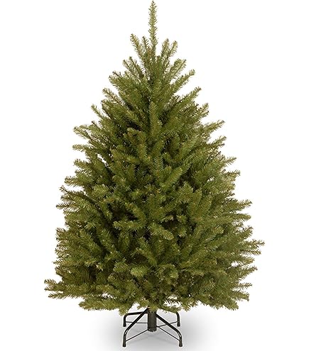 Amazon.com: National Tree Company 4 ft Pre-Lit Dunhill Fir Mini