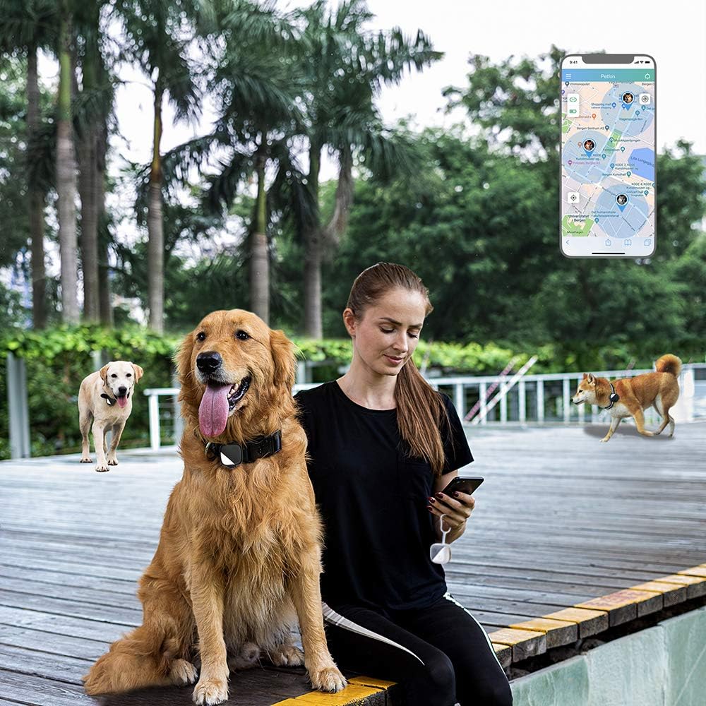 petfon pet gps tracker