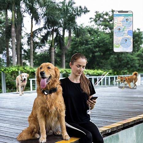 dog gps tracker no monthly fee