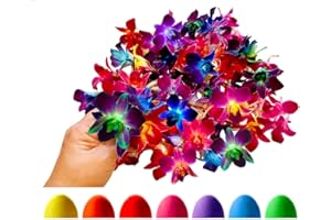 Miami Fresh Orchid Flower OrchidClub USA Sunne Tropical Loose Bloom Head DIY Lei food drink decoration (RAINBOW 50)