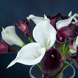 ZGPEPEXIA 15 Pcs Real Touch Calla Lily Artificial