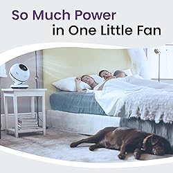 Greentech QT7 Bladeless Fan - Whisper Quiet Air