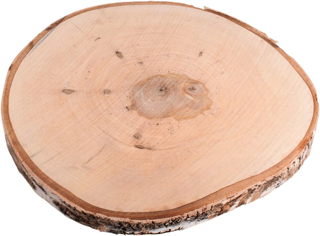 Rayher 55807000 Large Birch Wood Disc with Bark, Natural Round Wooden