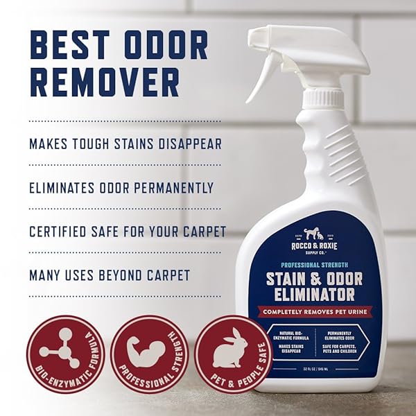 ROCCO & ROXIE SUPPLY CO. STAIN & STRONG ODOR ELIMINATOR, ENZYME CLEANER, PET ODOR ELIMINATOR FOR HOME – CARPET STAIN REMOVER FOR CATS & DOG PEE – URINE DESTROYER – CARPET CLEANER SPRAY CLEAR, 32 FL OZ