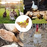 DONGKER Chicken Reflective Vest Poultry Hen Saddle Apron Adjustable Strap Duck view 9