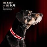 HEELE Reflective Dog Collar Soft Neoprene Padded Adjustable S Red 26-38cm view 5