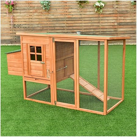 wooden house rabbit outdoor