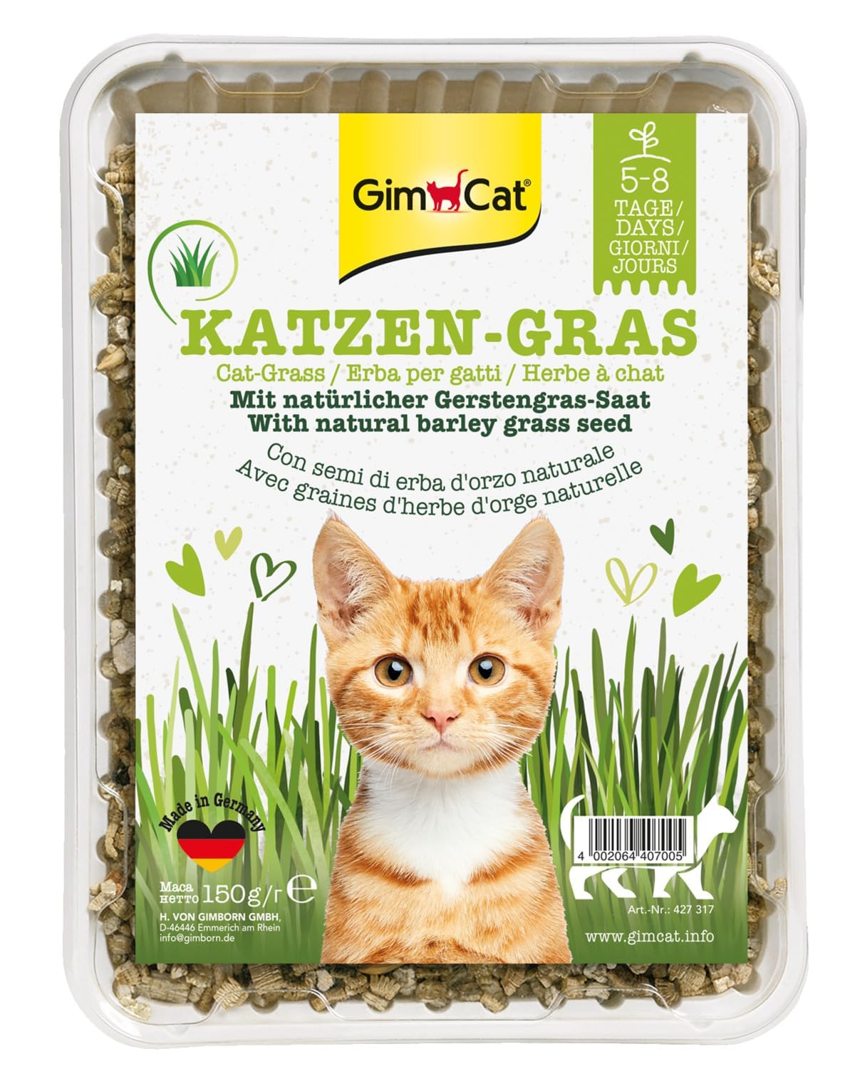 GimCat Cat Grass with Fresh Meadow Scent - Fast-growing seed mixture harvested from certified open fields - 1 punnet (1 x 150 g)