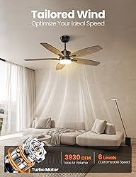 Hisummer 42 Inch Farmhouse Ceiling Fan with