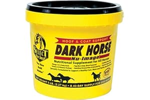 RICHDEL INC D Dark Horse Nu-Image 5 4