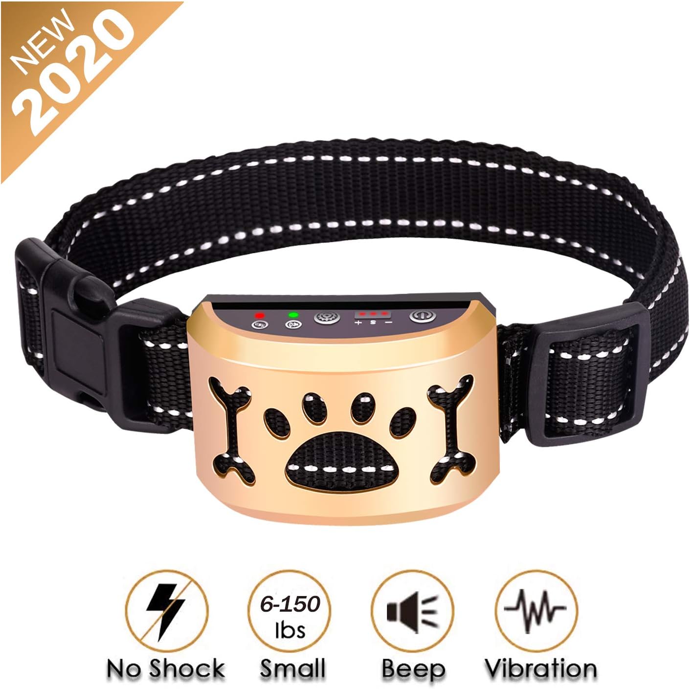 foster dogs available near me