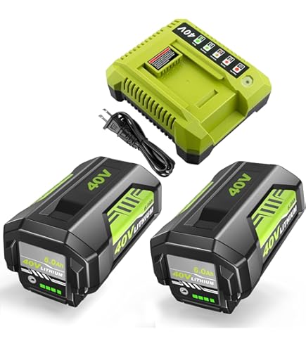 Ryobi Battery 40v LabTEC 2Pack 40V Lithium Ion Batteries