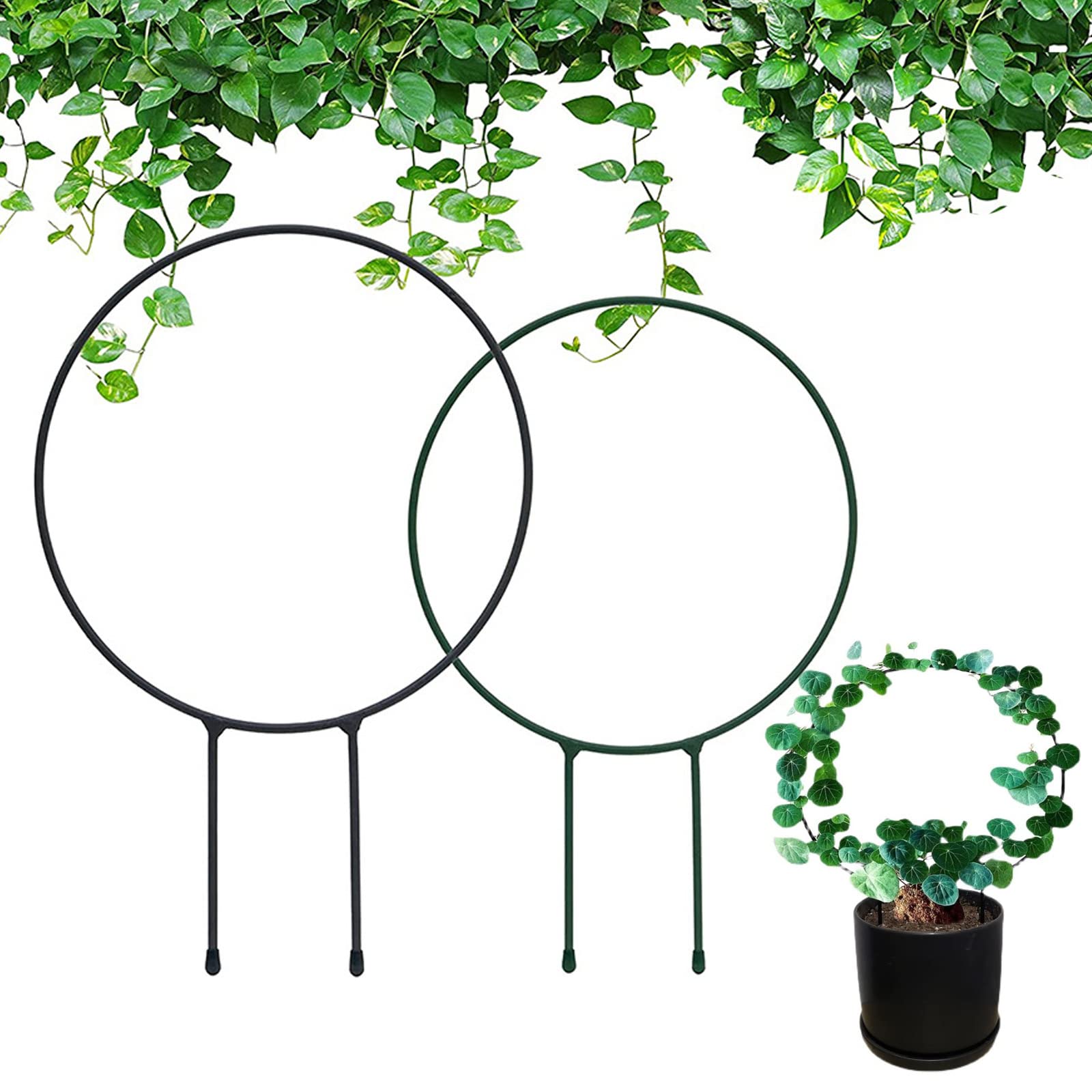 EQLEF Metal Garden Trellis for Climbing Plants 2 Pcs, Round Decorative Metal Garden Stakes Plant Support Stakes for Indoor and Outdoor Ivy Hoya Plant