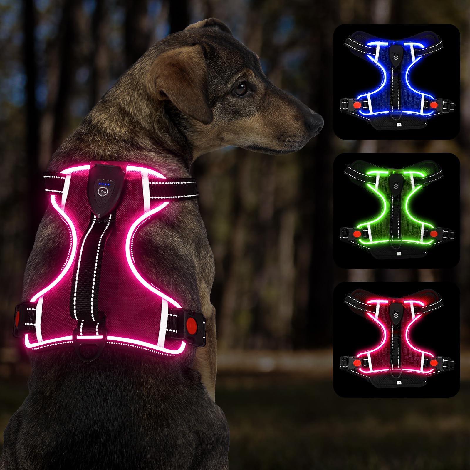 YFbrite Light Up Dog Harness - Rechargeable, Adjustable, Waterproof LED Harness for Small, Medium and Large Dogs (Pink, Large)