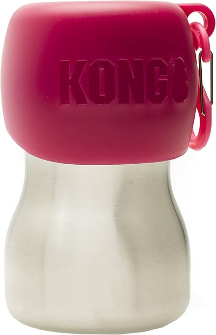 kong h2o stainless steel dog water bottle