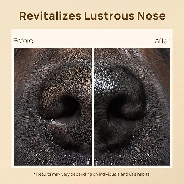 HICC PET NOSE BALM FOR DOG & CAT – MOISTURIZES REPAIRS SOOTHES DRY/CRACKED NOSE – DOGS SNOUT SOOTHER WITH FERMENTED COCONUT OIL, DOG NOSE BUTTER DAILY CARE & PROTECTION – ALL NATURAL & LICK SAFE