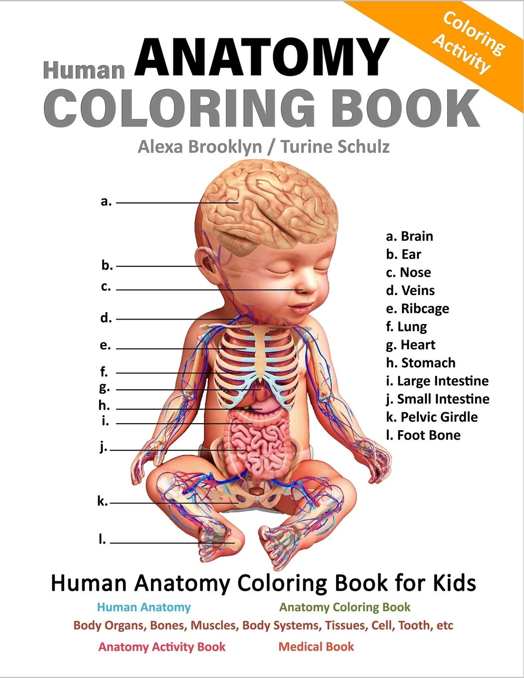 Download Human Anatomy Coloring Book For Kids Brooklyn Alexa Schulz Turine 9798561425820 Amazon Com Books