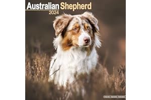 Australian Shepherd Calendar - Dog Breed Calendars - 2023 - 2024 wall calendars - 16 Month by Avonside