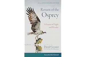 Return of the Osprey: A Season of Flight and Wonder