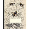 Composition Notebook College Ruled: Vintage Botanical Bee Illustration Journal | Wide Lined | Cute Aesthetic For School, College, Office, Work