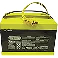 Peg Perego 24 Volt Replacement Battery for Peg Perego Vehicles