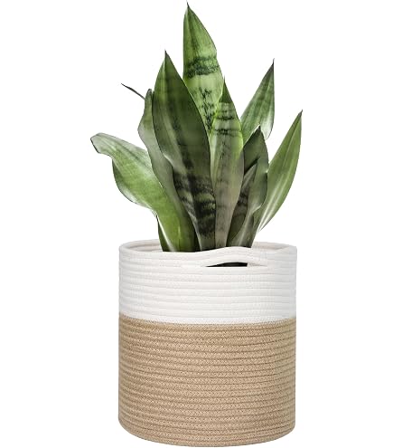 Oradrem - Cesta De Cuerda De Algodón Tejida Para Macetas De 11 Pulgadas, Cesta Pequeña Decorativa Para Organizador De Almacenamiento De Plantas, Decoración Moderna Del Hogar (12 X 12 Pulgadas, Color
