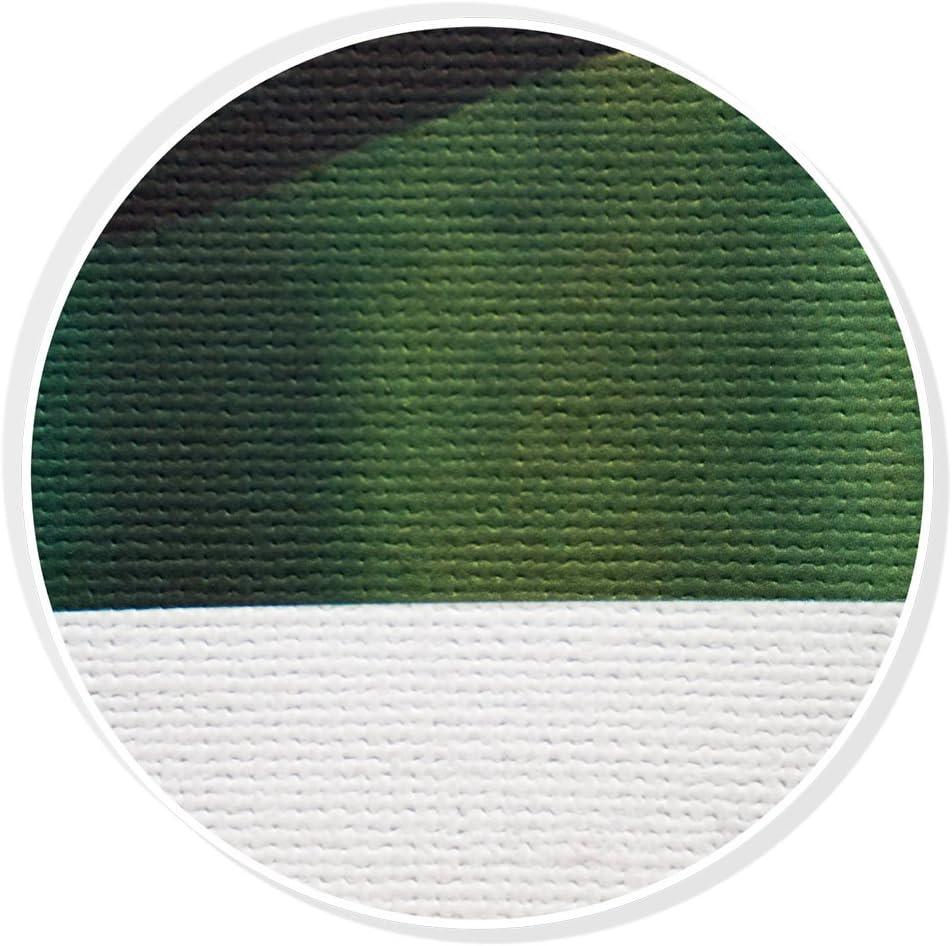 800M Matte Poly-Cotton Inkjet Canvas 21 mil and bright white. This 36”x40’ roll is Exceptional For Digital Art and Photo Printing, Signage, Backdrops, Murals, etc. on Most Canon, HP and Epson Printers : Office Products