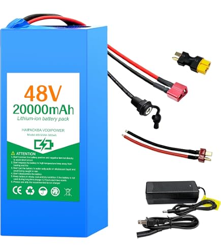 Amazon.com: CXZCXZ 48V Ebike Battery, Lithium Battery with XT60