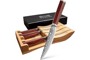 FUJUNI Steak Knives Set of 4 with in-Drawer Knife Block, 5 inch Damascus Steak Knife Set VG-10 Damascus Super Steel 67-Layer 