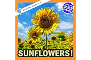 Sunflowers!: A My Incredible World Picture Book for Children