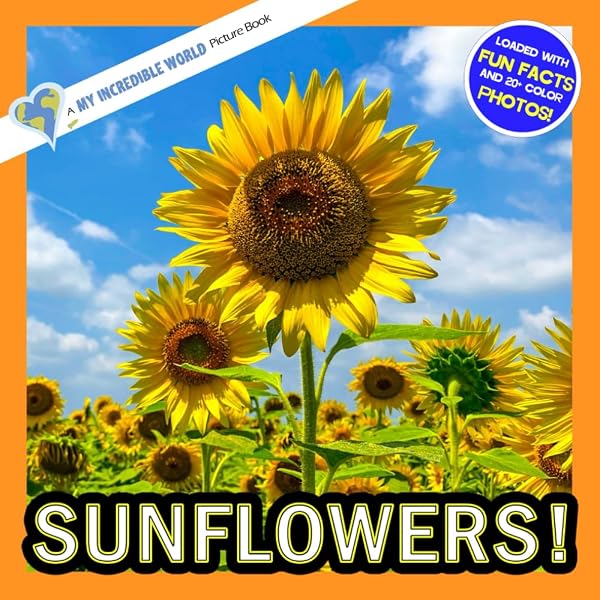 A Sunflower's Life Cycle (Explore Life Cycles): Dunn, Mary R