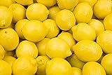 50 Lemon Seeds for Planting Non-GMO Heirloom and