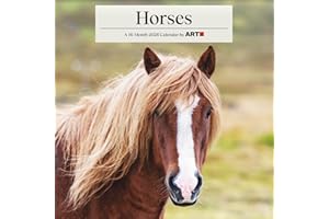 2026 Horses Mini Wall Calendar