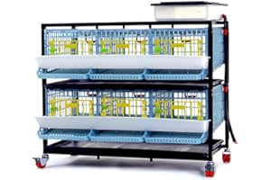 Jumbo Quail Breeding Cage Indoor: Double Layer Addition for Stackable Quail Coop, Rust-Free, Easy Egg Collect (2024: Longer W