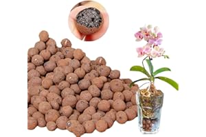 LIFETOP 2LB Organic Expanded Clay Pebbles, Natural 4-16mm Clay Pebbles for Plants, for Potting Plants, Growing Bulbs Indoors,and Hydroponics,Light-Weight and Absorbent The Pebbles…