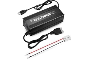 LIFBATT 24V 20A LiFePO4 Battery Charger 29.2V Lithium Battery Smart Charger with Anderson Connector and Anderson to M8 Adapter Cable,for Lithium LiFePO4 Deep Cycle Rechargeable Batteries of Car Truck Boat RV