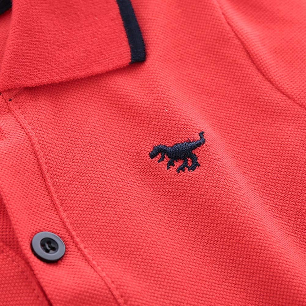 T Shirt Chemise Polo A Manches Longues Avec Broderies De Dinosaures Pour Bebe Garcons 0 3ans Bobora Polo Bebe Garcon Hauts Polos Atahari Com