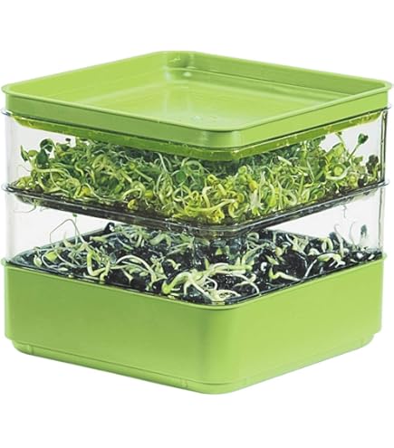 JZLEJC Sprouts Kit In Crescita, Microgreens In Crescita 10x12 100