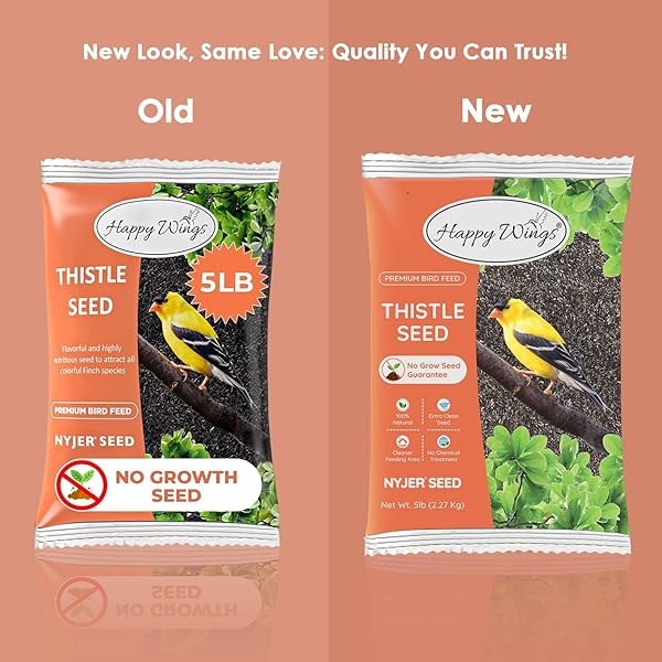 HAPPY WINGS NYJER/THISTLE SEEDS WILD BIRD FOOD – 5 POUNDS I NO GROW SEED I BIRD SEED FOR WILD BIRDS