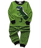 EULLA Toddler Boys Cotton Pjs Cute Dinosaur Pajama